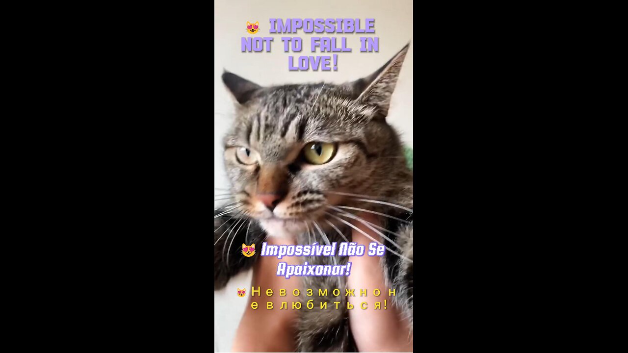 😻 Impossible Not to Fall in Love!