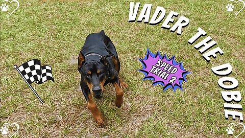 Vader’s Speed Trial Showdown | Sarcasm, Sprints, & Pink Tennis Ball Chaos (Ricky Bobby Edition)
