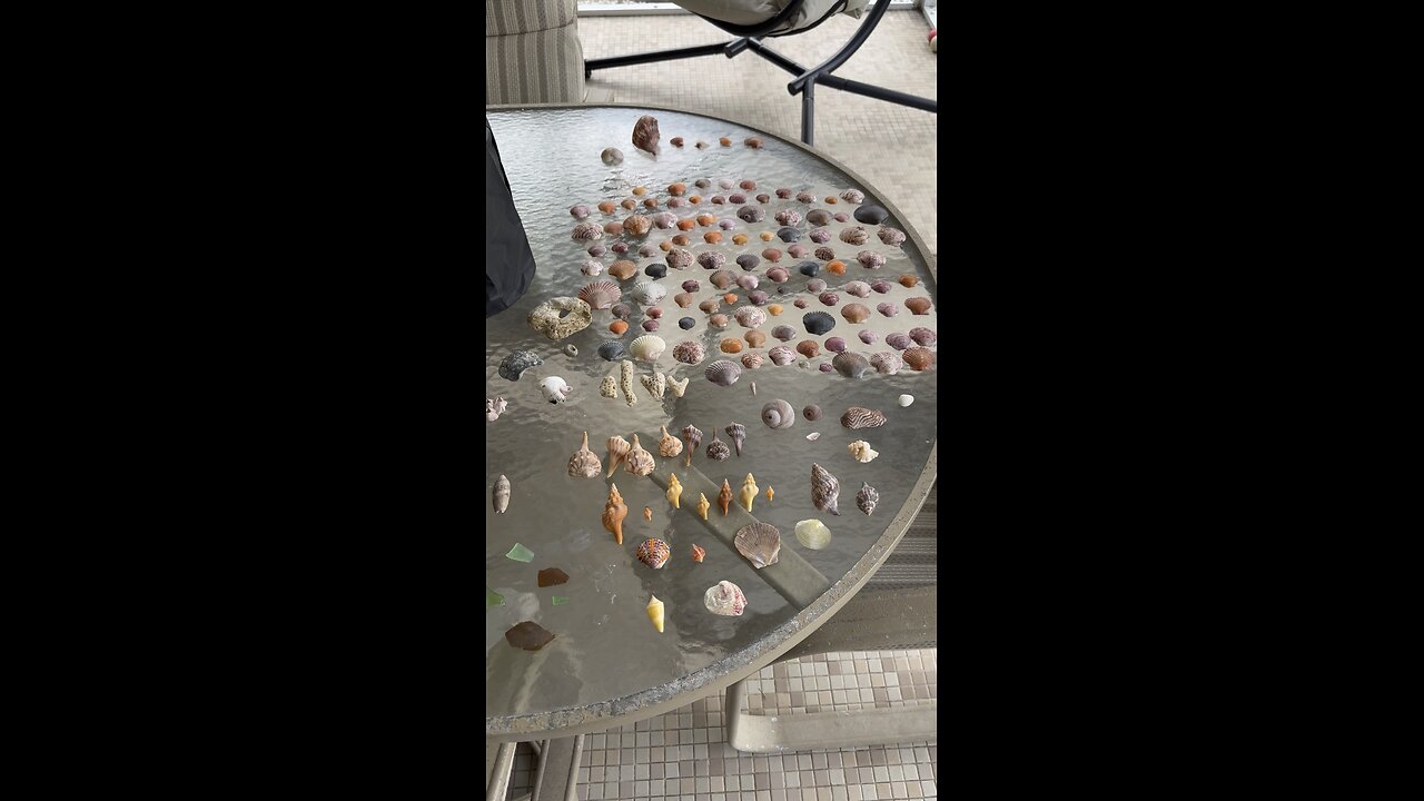 Beach Finds 6/20/2025 | 4K