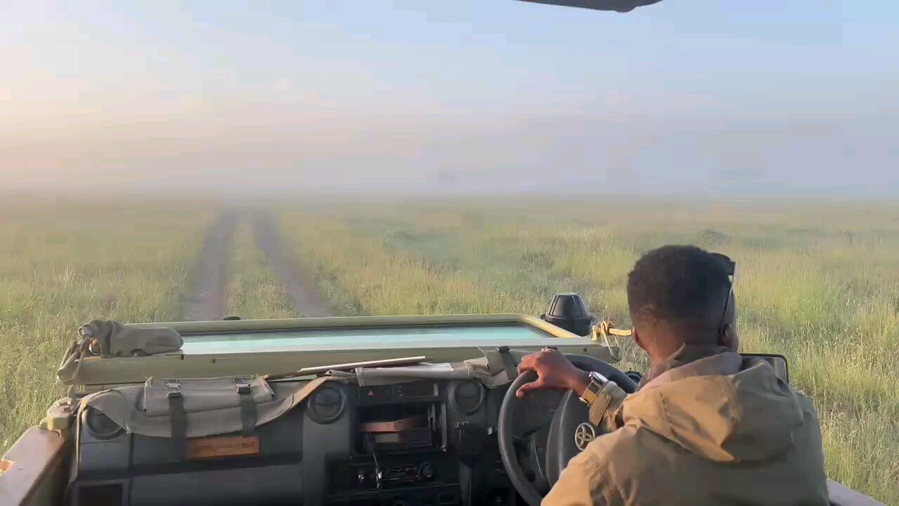 Tanzania Wildlife Safari