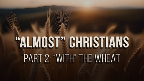 "Almost" Christians (Part 2): "with" the wheat