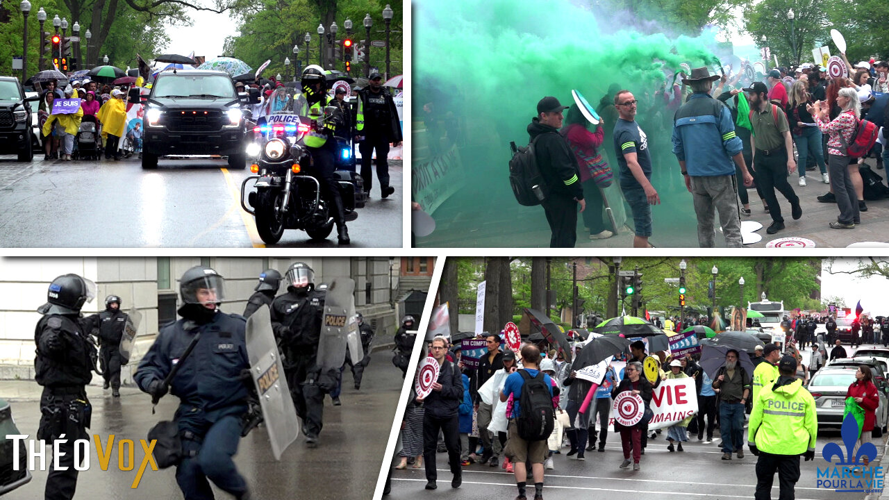 Marche Pour La Vie Québec, 31 mai 2025 | Résumé