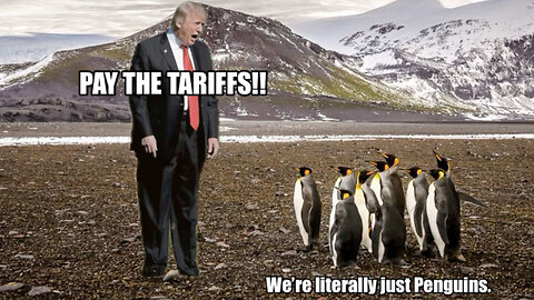 🐧 BREAKING: Trump targets uninhabited penguin islands with tariffs
