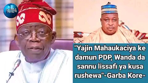 Yajin Mahaukaciya ke Yajin Mahaukaciya ke damun PDP