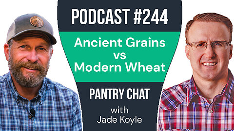 The Truth About Your Food: Ancient Grains vs Modern Wheat
