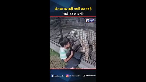tigar chach boy