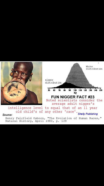 Negroids - TIME TO DEPORT