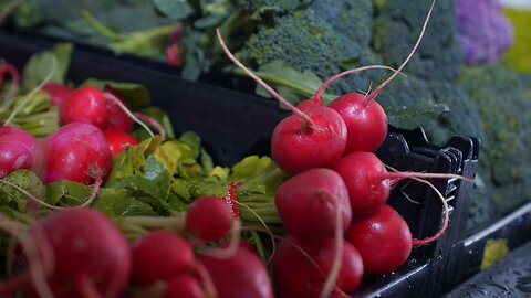 Radishes