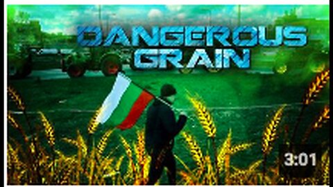 "Europe Overwhelmed by Hazardous Ukrainian Grain Influx"