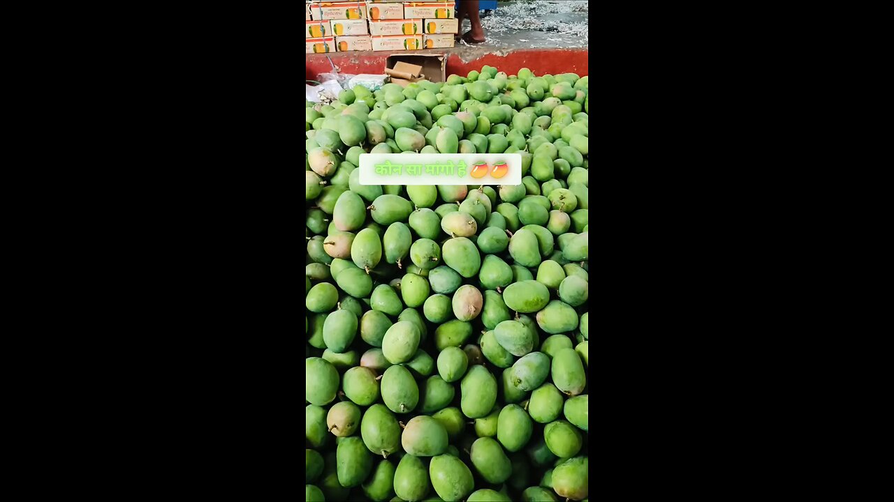 mango ðŸ¥