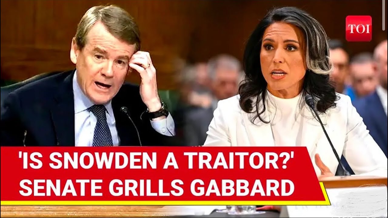 Tulsi Gabbard faces senators to become Trump's DNI