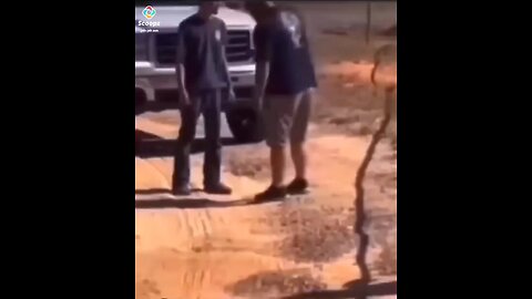 Can't Make This Shit Up