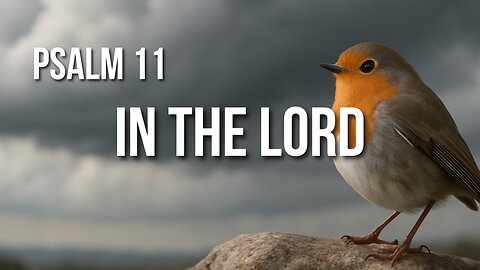 Psalm 11 – Trusting God When the World Feels Like It’s Falling Apart