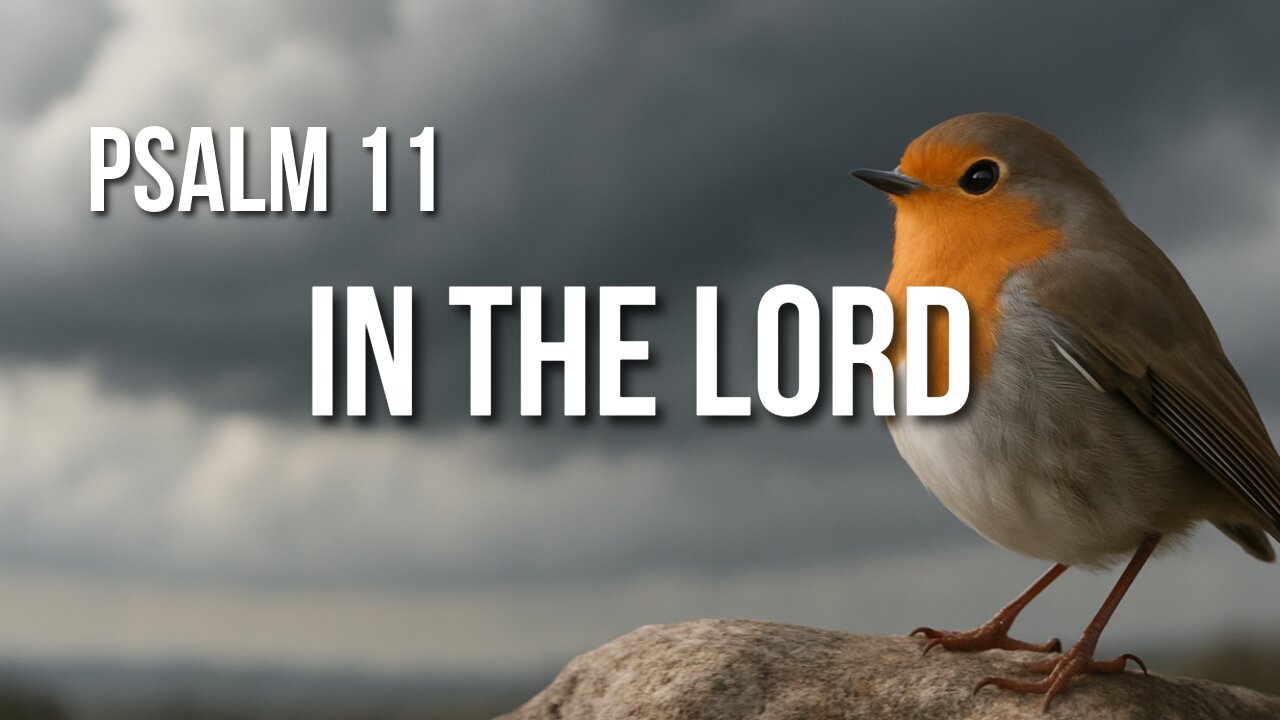 Psalm 11 – Trusting God When the World Feels Like It’s Falling Apart