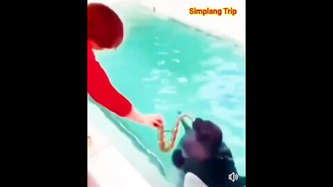 Simplang Trip 81: Here’s what will happen if you give Saxophone to sea lion.