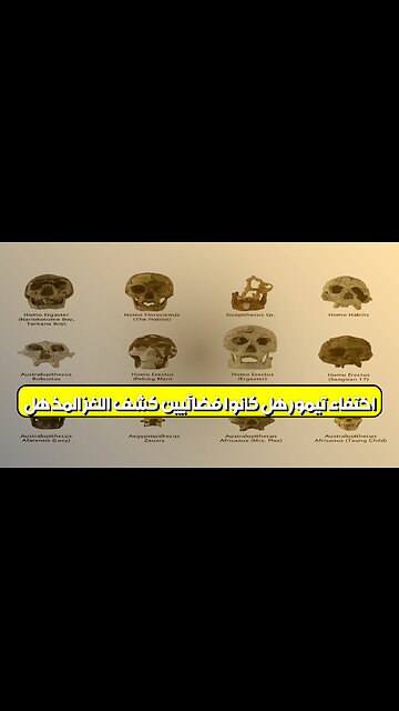 اختفاء تيمور: هل كانوا فضائيين؟ كشف اللغز المذهل! #تيمور #غموض #حضارات