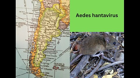 Andes hantavirus in Patagonia, Argentina: The use of Rapid Data Collection