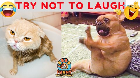 Funniest Cats & Dogs Compilation Ever! 🐶🐱 | Hilarious Pet Fails 2025