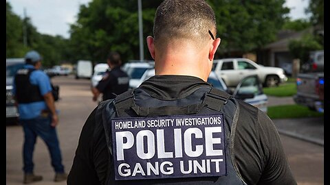 Let's Talk About Gangs, Part III. A Day in the Life of a Gangster