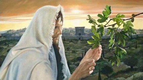 WHAT CAN WE LEARN FROM THE FIG TREE JUNE 8 2025 *Message Only*