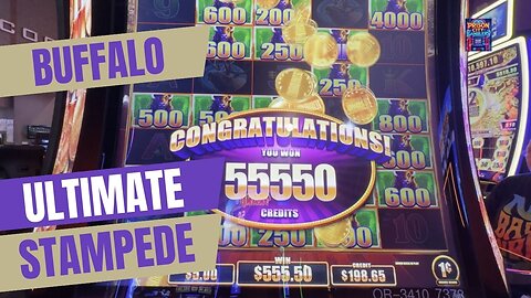 Buffalo Ultimate Stampede 🎰🎉🎰