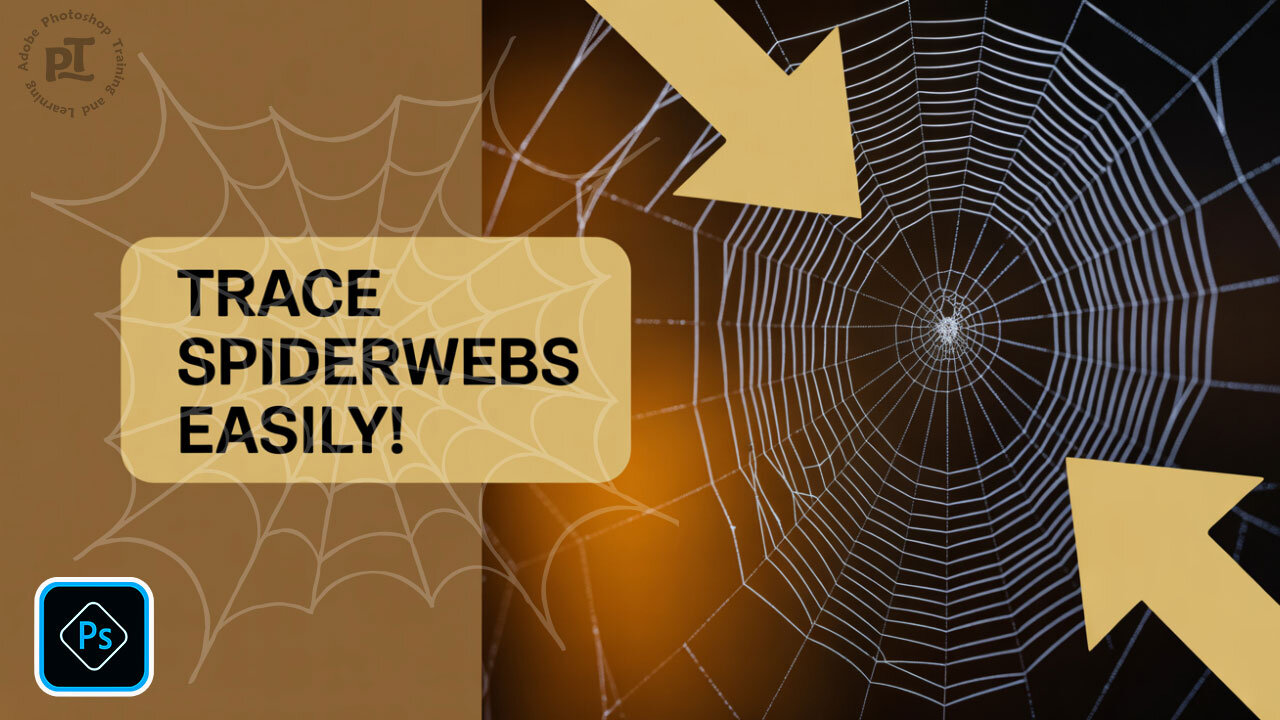 EXTRACT Spider Web Patterns in Photoshop Easily