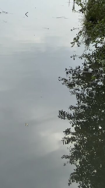 Evening hike at Hartman to Mattern Trail! #yeshua #jesus #hiking #nature #osprey #columbian