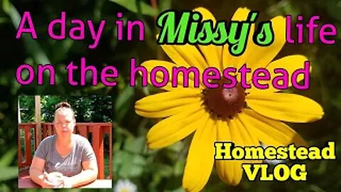 Day in Life of Homesteader - Homestead vlog