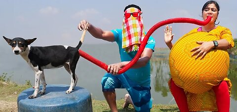 funny video