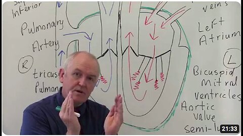 "Heart Structure and Function: Cardiovascular System 1"