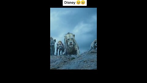 King 🤴 lion