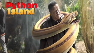 Python Island (2022) #review #china