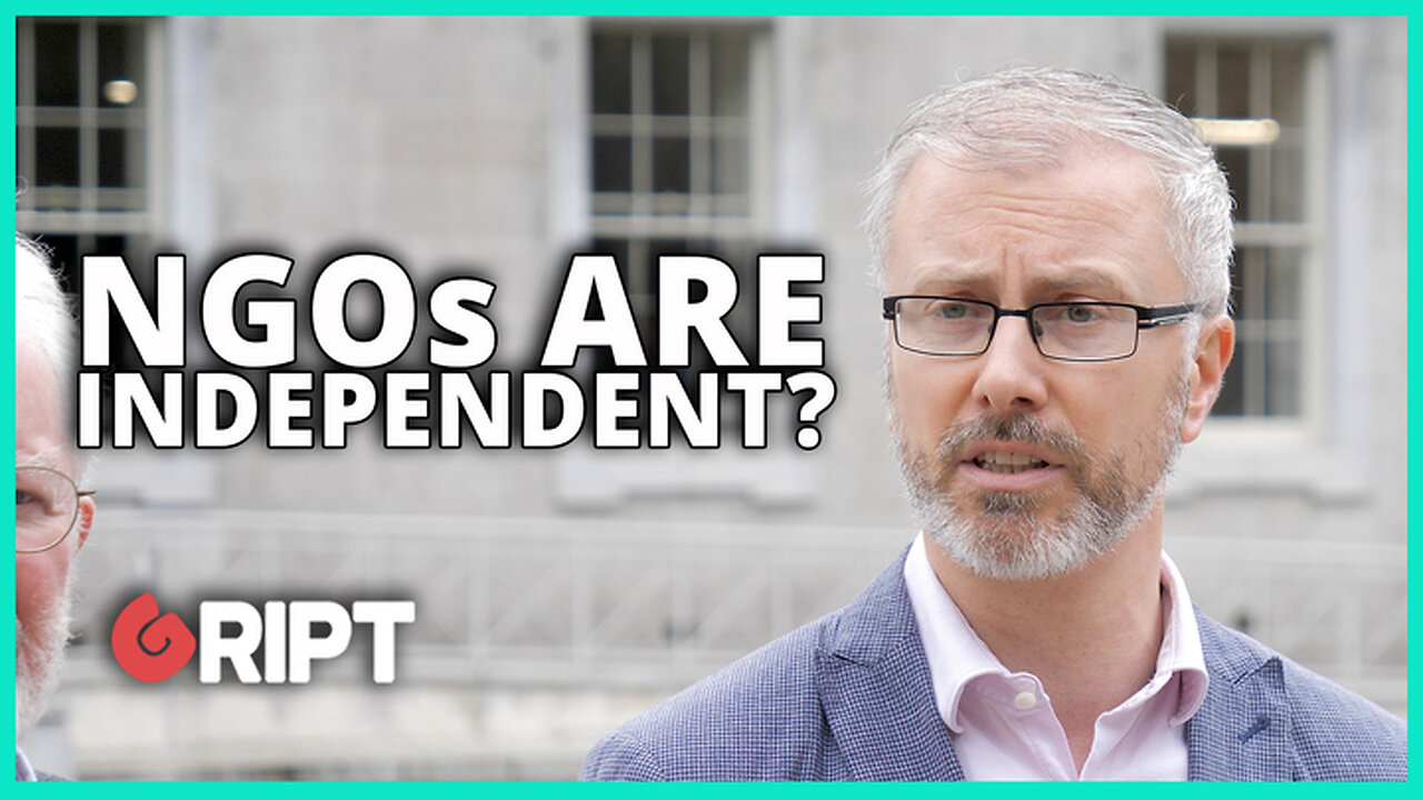 Roderic O'Gorman claims that NGOs are independent of Government
