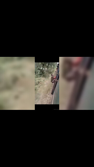 Chopped Curry--IndiaTrain