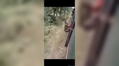 Chopped Curry--IndiaTrain