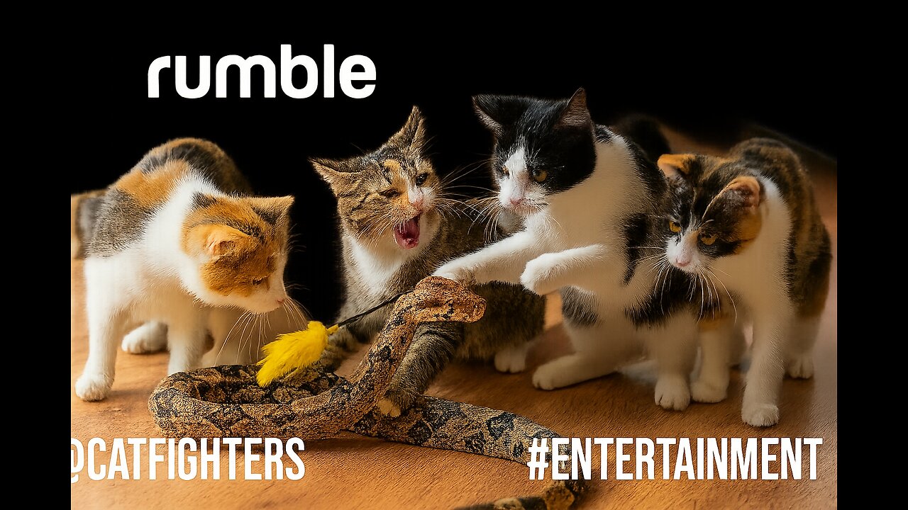 Cats Fighting Giant Snake