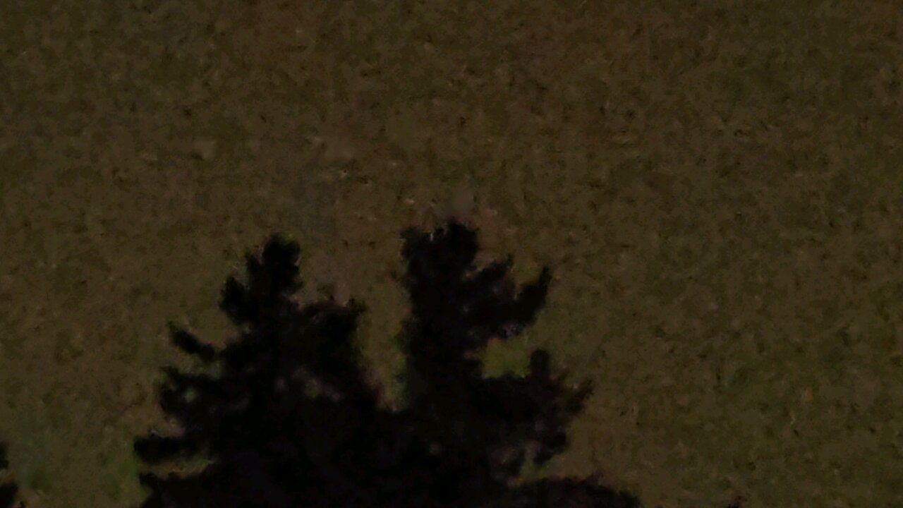 The Electric Universe March 21 2025