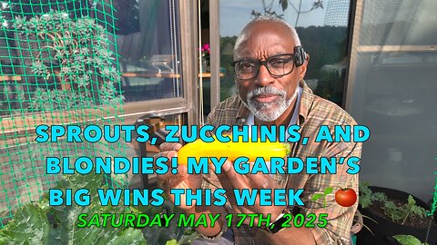 Sprouts, Zucchinis, and Blondies! My Garden’s Big Wins This Week 🌱🍅