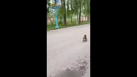 watch till the end