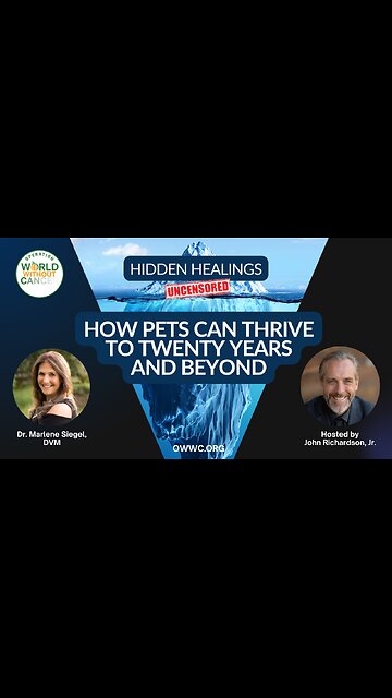 16 weeks ago, beautiful Weimaraner Maybelle had a massive oral fibrosarcoma tumor