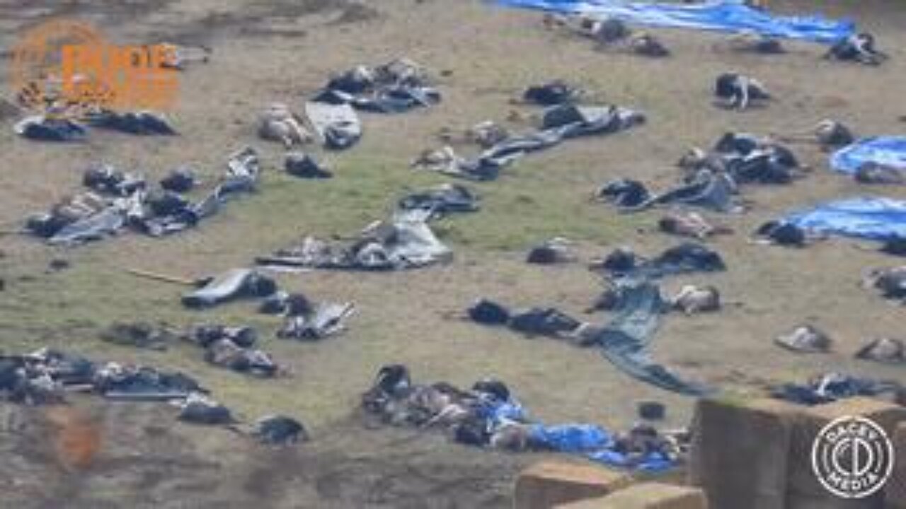 No humanity in them - Thats your Canadian government right there