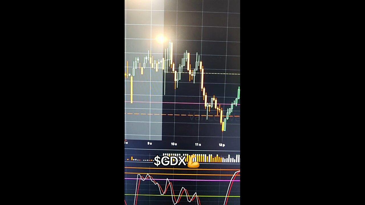 $GDX💪
