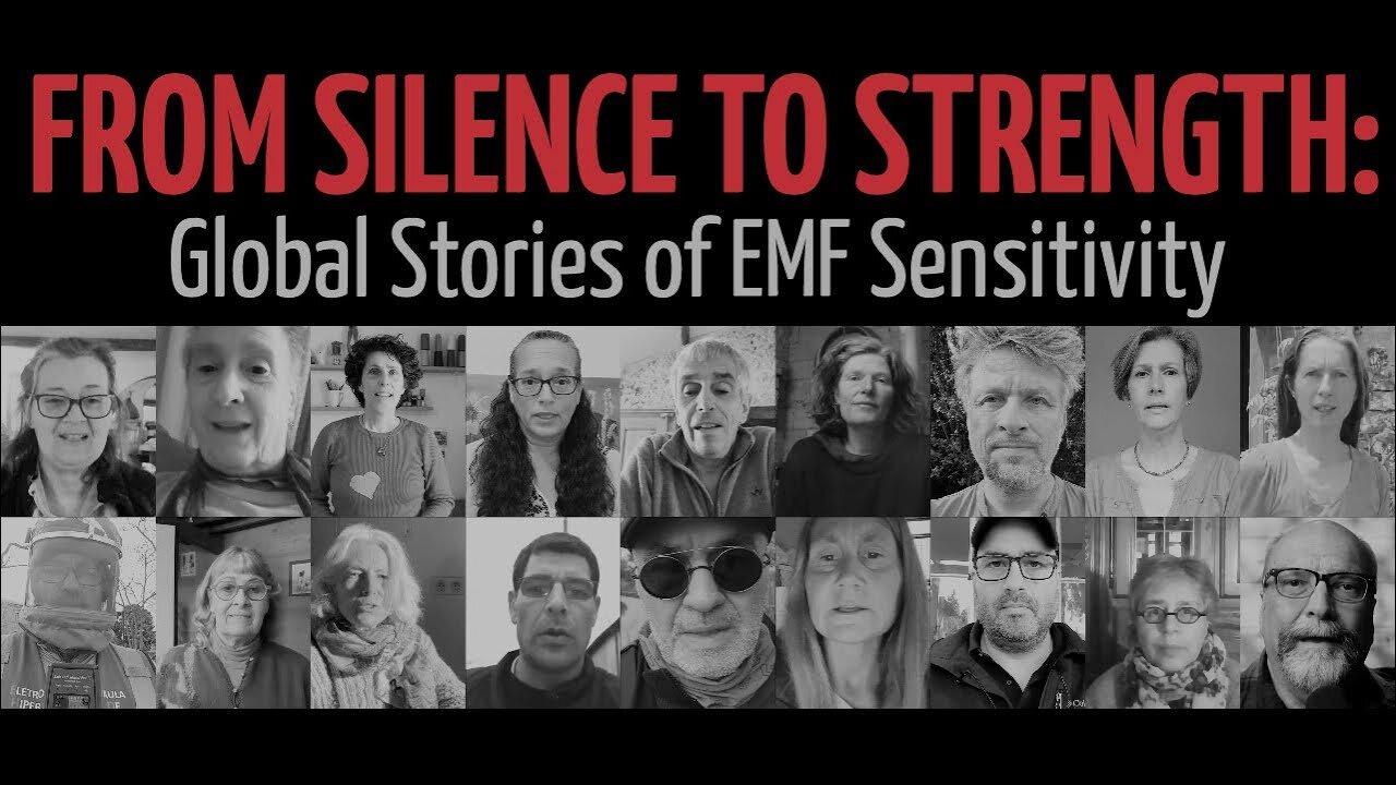 From Silence To Strength: Global Stories of EMF Sensitivity (2025)