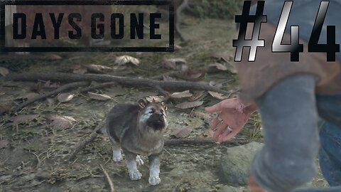Lil Puppy Dog | Days Gone #44
