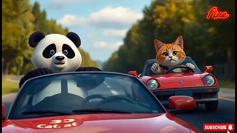 Panda Vs Cat Car Race