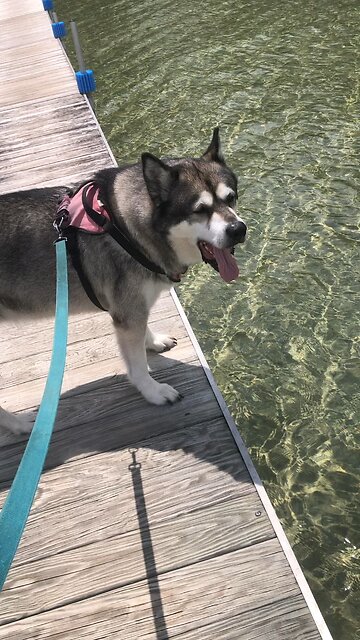 Friday June 27, The poor will eat and be satisfied