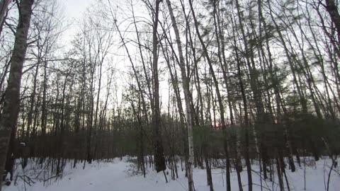 Why has the US become a stink hole on the brink of collapse?