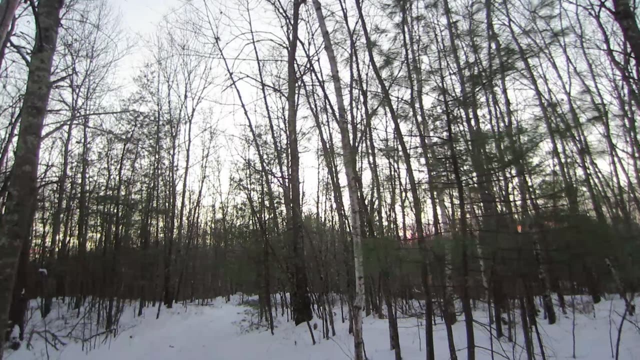 Why has the US become a stink hole on the brink of collapse?