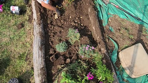 Rebuilding a Flower Bed and planting 18 Perennials in 30 minutes