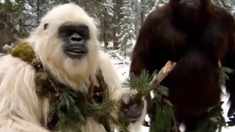 Found talking beast in the forest 📈 #trending